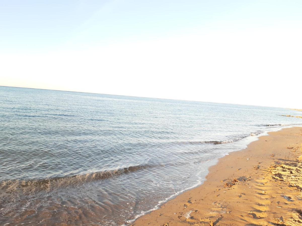 Apartamento Orange Denia Zewnętrze zdjęcie